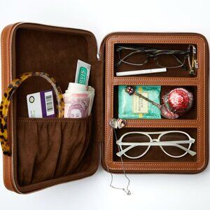 Lexxola Jet-Setter Travel Case (Chocolate; Excellent Condition)